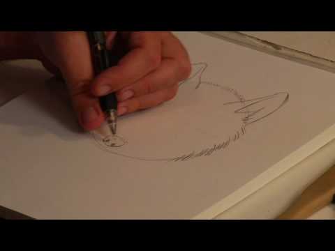 Bir Kurt Çizmek İçin Nasıl Çizim Dersleri : 