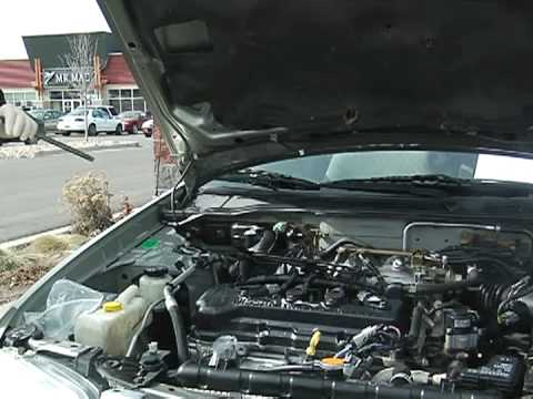 Detay Otomatik: Motor & Trunks : Detaylandırma Otomatik: Yüksek Basınçlı Durulama Motoru 