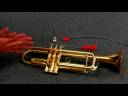 Flüt, Trombon Ve Trompet Çalmayı : Trompet Temizlemek İçin Nasıl  Resim 2