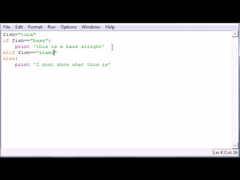 Python Programlama Eğitimi - 21 - Başka Ve Elif Resim 1