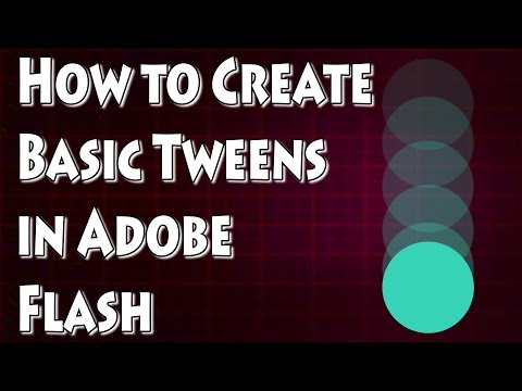 Adobe Flash Eğitimi - Nasıl Ara Doldurma İçin