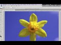 Adobe Photoshop Eğitimi: Kement Aracı Resim 2