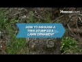 Nasıl Bir Ağaç Kütüğü Bir Çim Süs Olarak Gizlemeye