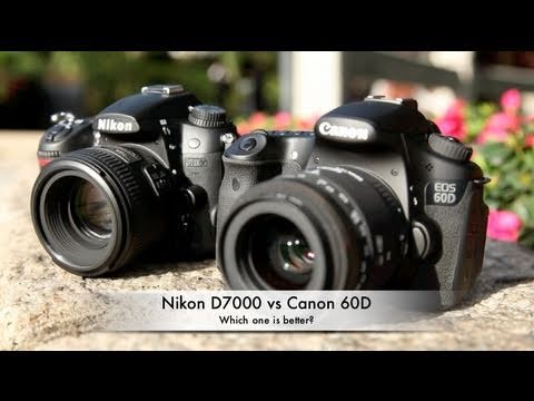 Nikon D7000 Vs Canon 60D
