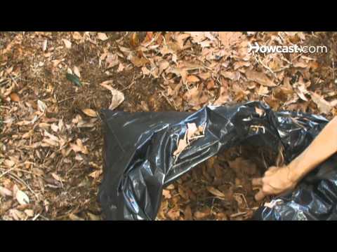 Nasıl Kompost Sonbahar Yaprakları