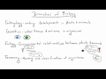 Giriş Biyoloji - 1 - Biyoloji Nedir? Resim 3