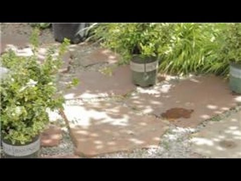 Bahçe İpuçları: Nasıl Bir Açık Kapı Çiçek Yatak Manzara