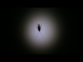 Nasıl Bir Hamamböceği Göz Gece Zaman Yapılır Resim 4