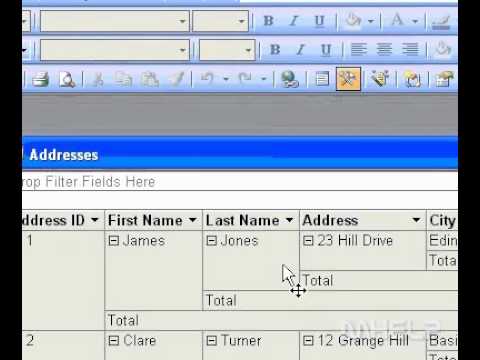 Microsoft Office Access 2003 Programı Veri Özet Tablo Görünümünde Köprü Olarak