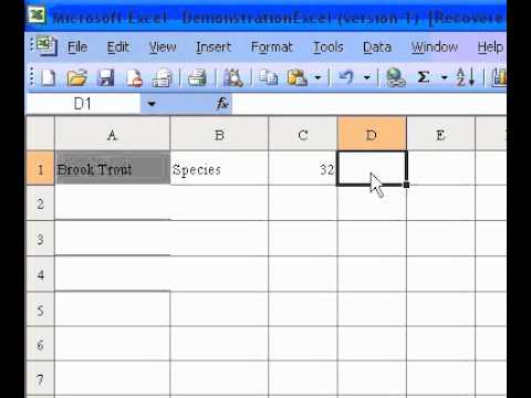 Microsoft Office Excel 2003 Birleştir Fonksiyonunu