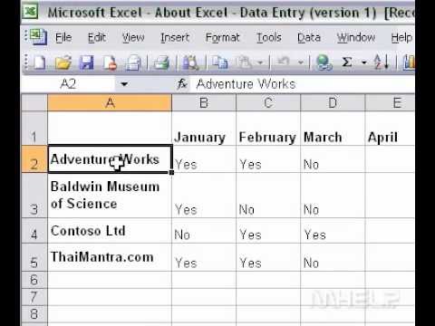 Microsoft Office Excel 2003 Excel Veri Girişi Hakkında Resim 1