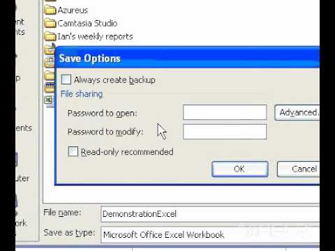 Microsoft Office Excel 2003 Güvenli Bir Şifre İle Çalışma Kitabını Bir Resim 1