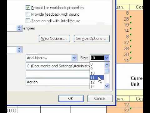 Microsoft Office Excel 2003 Yeni Çalışma Kitaplarında Kullanılan Varsayılan Yazı Tipi Ve Yazı Tipi Boyutunu Değiştir Resim 1