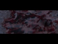 David Guetta - She Wolf (Parçalara Düşen) Ft. Sia (Resmi Video) Resim 2
