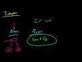 Biyoloji Ders - 47 - Hücre Bölünmesi Ve Interphase Resim 3