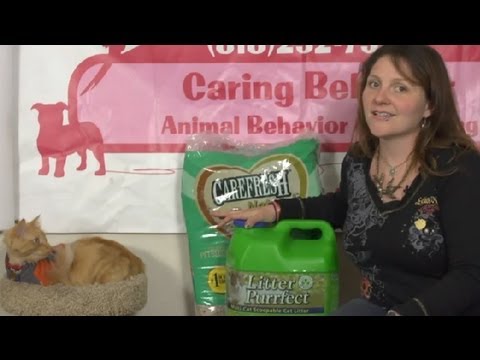 Biyolojik Çöp Atmak : Kedi Bakım İpuçları