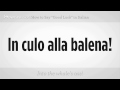 Ne Demek "iyi Şanslar" İtalyanca | İtalyan Ders Resim 3