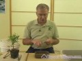 Nasıl Büyümek Bonsai Ağaçlar İçin: Nasıl Kendi Bonsai Yapmak: Bonsai Dersleri Yeni Başlayanlar İçin Resim 3