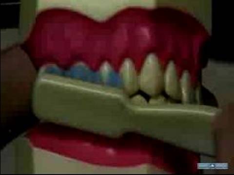 Diş Ve Diş Etleri Sağlıklı Tutmak Nasıl: Doğru Diş Fırçalama: Diş Bakımı Ve Ağız Hijyeni