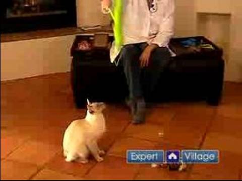 Kedinizi Formda Ve Sağlıklı : Egzersiz İçin Kedi Almak İçin Oyuncak Bir Olta Kullanın  Resim 1