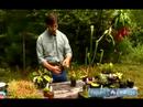 Anlayış Etçil Bitkiler: Nasıl Etçil Bitkiler Kuru Erik Resim 3