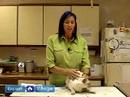 Nasıl Kedi Doğurmak İçin: Saf Islah Kediler Hakkında Bilgi Edinin Resim 3