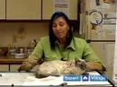 Acil Kedi Sağlık : Cat Sıyrıklar Ve Kesikler Tedavi  Resim 4