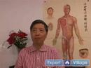 Geleneksel Çin Tıbbında Akupunktur Teknikleri : Geleneksel Çince Elektro-Akupunktur  Resim 4