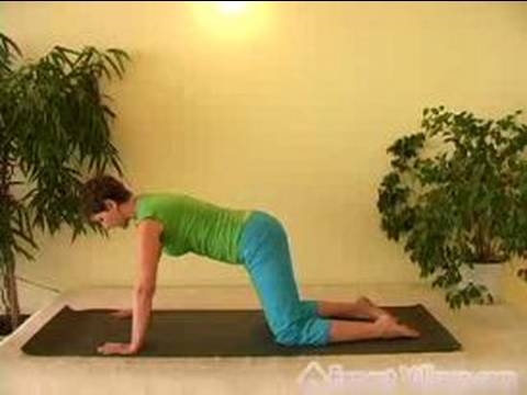 Acemi Yoga Pozisyonları : Acemi Yoga Poz Catcow 