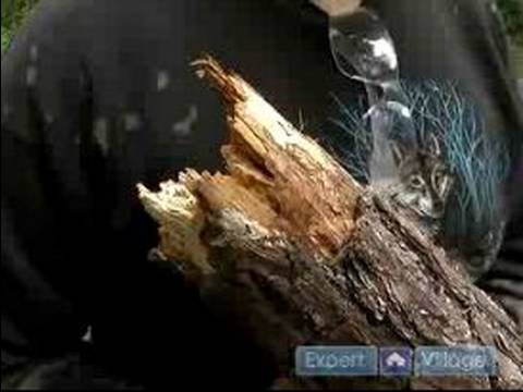 Bir Odun Yanan Şömine Kullanarak: Yanık Odun Yanan Şömine İçin Odun Türleri