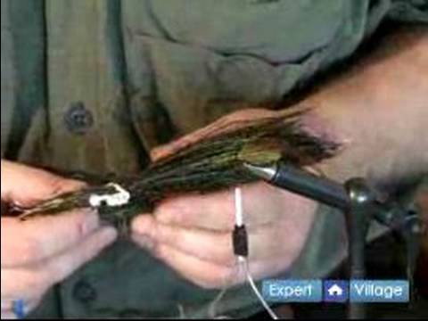 Nasıl Bir Sinek Sinek Balıkçılık İçin Kravat: Nasıl Bir Tavus Kuşu Curl Kravat: Basic Fly Bağlama Yönergeleri Resim 1
