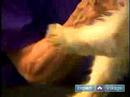 Nasıl Uzun Saçlı Cats Damat: Nasıl Kedi Göz Saç Kesme İçin Resim 3