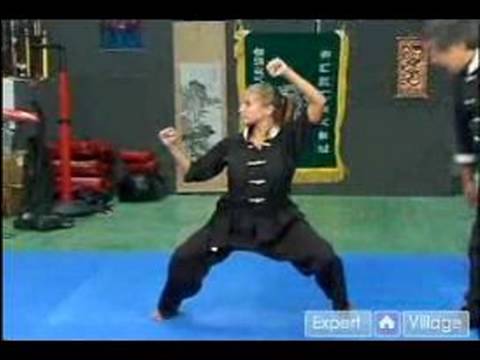 Temel Kung Fu Hareketleri : At Kung Fu Duruşu Sürme  Resim 1