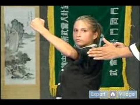 Temel Kung Fu Hareketleri : Geri Yumruk Yumruk Kung Fu 