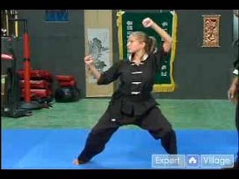 Temel Kung Fu Hareketleri : Kung Fu Al & Yumruk Resim 1
