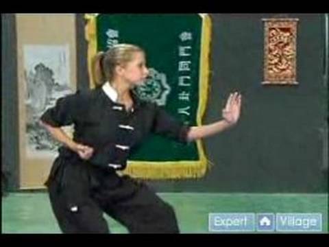 Temel Kung Fu Hareketleri : Kung Fu Kedi Duruşu  Resim 1