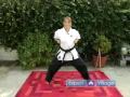 Koden Kaplan Karate Taşır Yeni Başlayanlar İçin: İleri İtme Yumruk Koden Kan Dövüş Sanatları Resim 4