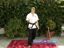 Koden Kaplan Karate Taşır Yeni Başlayanlar İçin: Koden Kan Dövüş Sanatları Şakası Resim 4