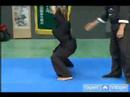 Temel Kung Fu Hareketleri : At Kung Fu Duruşu Sürme  Resim 4