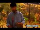 Nasıl Sarracenia Büyümeye: Sürahi Bitkiler Bindirme Yönteminde