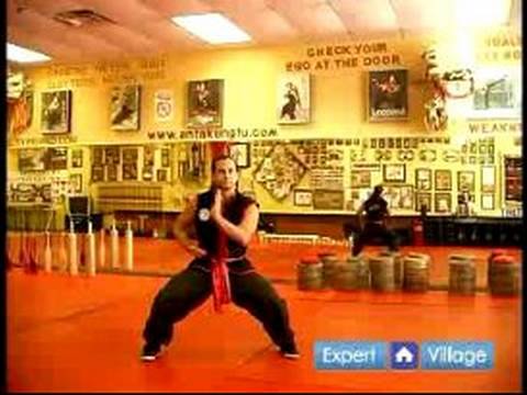 Güney Shaolin Kung Fu : Temel Güney Kung Fu Shaolin Bir Sistem Dövüş Stili 