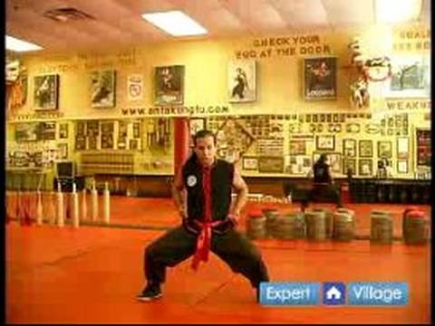 Güney Shaolin Kung Fu : Temel Güney Shaolin Kung Fu Dövüş Stili İçin Backfist Ters  Resim 1