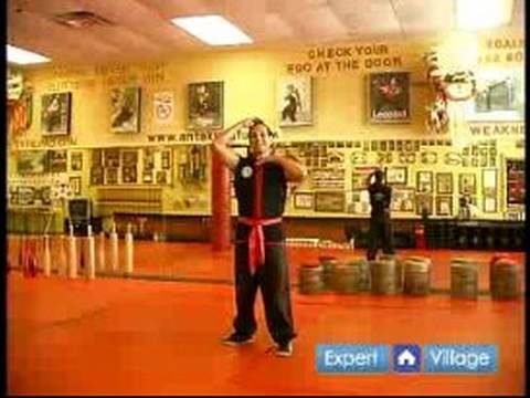 Güney Shaolin Kung Fu : Temel Güney Shaolin Kung Fu Dövüş Stili İçin Üç Kapı Krizi  Resim 1