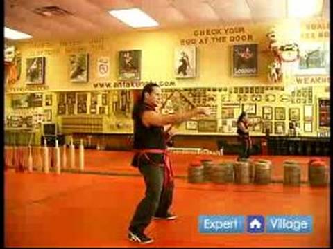 Güney Shaolin Kung Fu : Temel Güney Shaolin Kung Fu Dövüş Stili İçin Yumruk Ters 