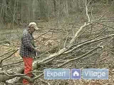 Nasıl Düşmüş Bir Ağaç Odunları Kesmemi: Limbing İpuçları, Teknikler Ve Emanet Ağaç: Bir Ağaç Limbing Oluşturma Planı Dalları Düşmüş Ağaçlardan Odun Kesmek