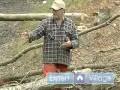 Nasıl Düşmüş Bir Ağaç Odunları Kesmemi: Yakacak Odun Günlüklerini Hazırlamak İçin Bir Ağaç Gövdesine Kesmek İçin Nasıl