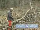 Nasıl Düşmüş Bir Ağaç Odunları Kesmemi: Limbing İpuçları, Teknikler Ve Emanet Ağaç: Bir Ağaç Limbing Oluşturma Planı Dalları Düşmüş Ağaçlardan Odun Kesmek Resim 3
