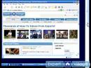 Internet Explorer 7 Kullanmayı: Web Sayfası Navigasyon Anlamak Ve Scrollbar Kullanma Enterne Keşfe Çıkmak 7