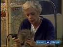 Nasıl Damat Bir Kedi : Elektrikli Tıraş Makinesi İle Tıraş Kedi Ne Zaman Nicks Önlemek  Resim 3