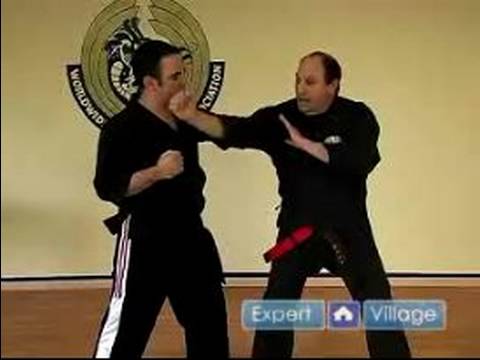 Amerikan Kempo Karate Teknikleri : Kenpo Karate Dal Teknikleri Yakalamaya 